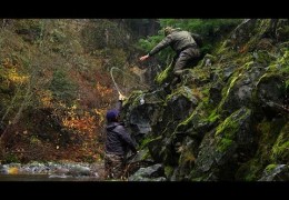 Fall Run – Pacific Northwest Steelhead Fly Fishing